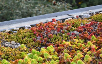 the cost of Yeadon green roof installation